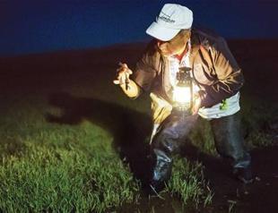 Local man makes living hunting frogs for 15 years in Turkey’s northwest