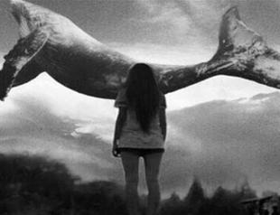 Turkish family files criminal complaint on ‘Blue Whale’ online game after son’s death