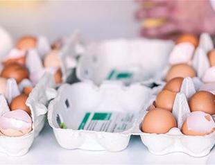 EU calls eggs talks as scandal spreads to Asia