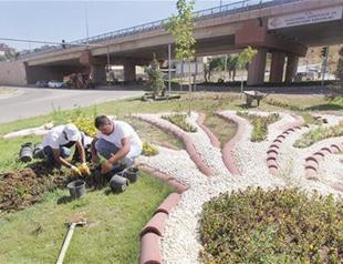 Small Black Sea province sees highest rent hike in Turkey, outperforming Istanbul