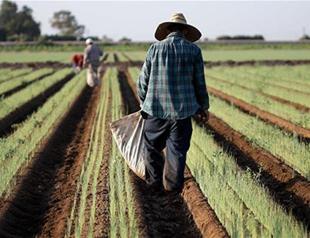 Trump warns may terminate NAFTA treaty