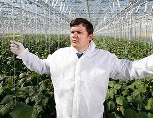 Russian vegetable producer plans growth spurt thanks to import ban