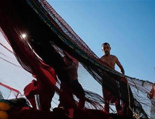 Turkey’s seasonal fishing ban to end on Sept 1