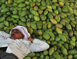 India Q1 economic growth slips to 5.7 percent