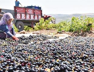 Turkey’s exports rise for 10th consecutive month