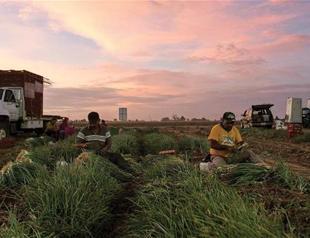 NAFTA negotiators seek to enshrine Mexico’s energy reforms