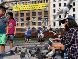 Spain calls Catalan mayors for referendum questioning