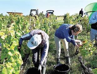 France launches 57 bln euro investment fund