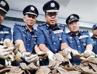 Malaysia seizes nearly $1 million in trafficked wildlife at airport