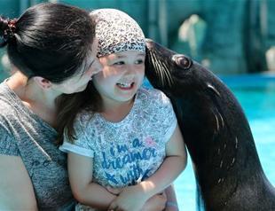 Seals from Cuba become latest attractions in Turkey’s Antalya