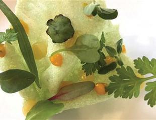 ‘L’ stands for Light and Lightness