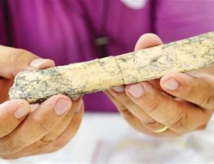 Turkish researchers find bones of 350,000-year-old animal