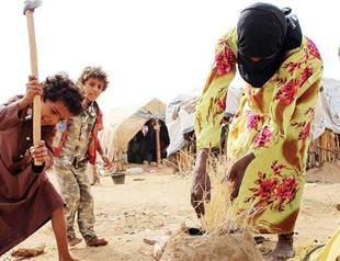 More than 200 children killed in Yemen in 2017: UN