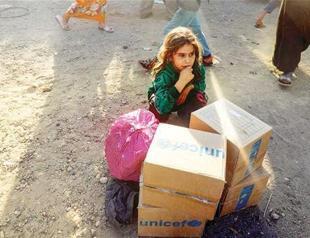 Coalition raids on Raqqa city ‘kill 29 civilians in 24 hours’