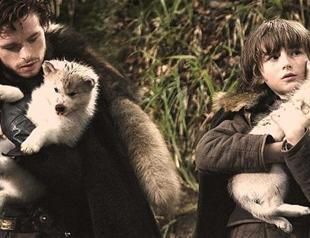 Lannister warns about husky craze