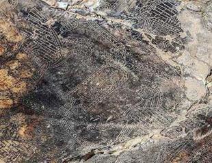 Ancient ornamentations being restored in Van