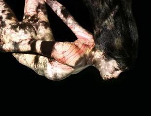 ‘Lunar’ at Elgiz Museum