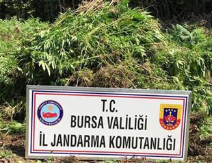 Drugs worth 4.5 million liras seized in Turkey’s Bursa