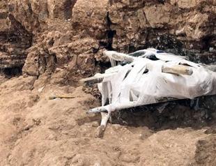 International interest in Anatolian fossils discovered in Kırşehir’s Kurutlu village