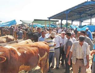 World’s Muslims celebrate ‘Feast of Sacrifice’