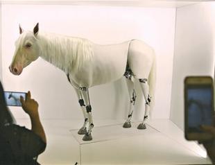 Contemporary Istanbul opens 12th annual art fair