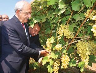 CHP leader Kılıçdaroğlu slams government’s agricultural policies