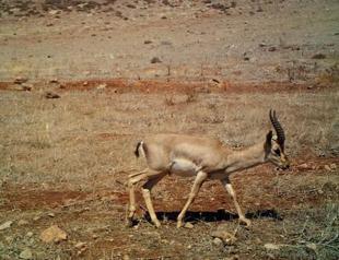 Documentary-like scenes from Bilecik