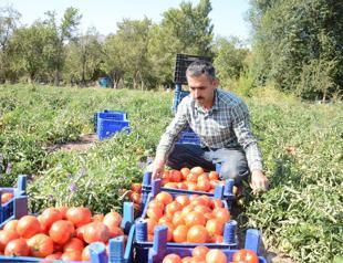 Turkey’s core inflation hits 13.5-year high in September