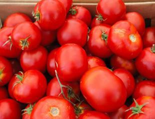 Turkish tomatoes not a political issue: Ambassador to Russia