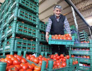 Moscow to partially allow Turkish tomatoes in late 2017 or early 2018: Russian official
