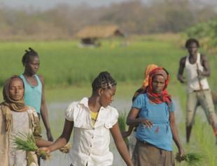 Ecological documentaries at Bozcaada film festival