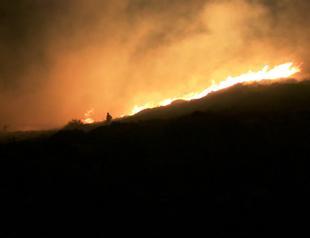 Blaze destroys 20 hectares of land in tourist hotspot on Aegean Coast