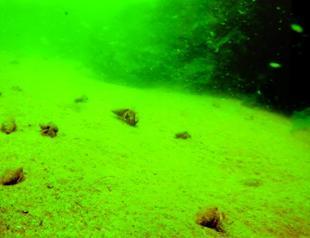 Old wrecks discovered underwater in Istanbul