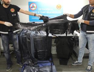 Alligator, snake skin smuggler caught at Istanbul airport