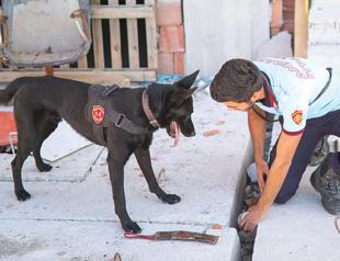 Ankara fire department’s cadaver dog on the job to enlighten cases