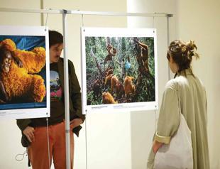 Award-winning photos in New York