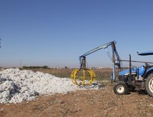 Three children found dead in cotton field in Turkey’s southeast