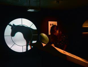 Harry Potter exhibit marks 20th anniversary