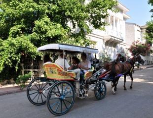 Ban horse-drawn carriages: Activists