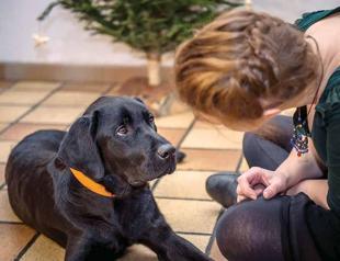Puppies well aware of reactions from masters
