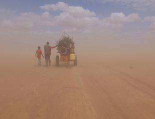 Antalya Film Festival screening of Ai Weiwei film halted after walkout