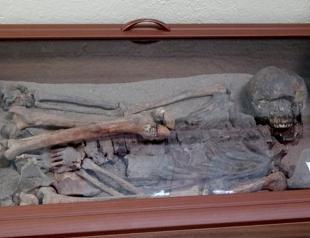 Çatalhöyük skeletons draw museum visitors