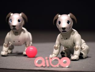 Sony revives robot pet dog