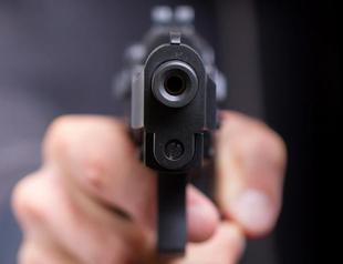 New regulation on individual gun ownership in Turkey should be on agenda: Official