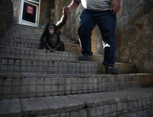 Gaziantep Zoo attracts interest with new additions
