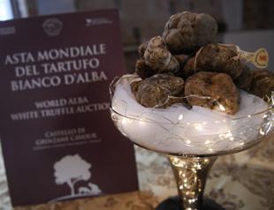 Italy’s white truffles feel the heat at Alba auction