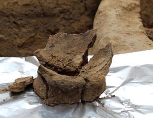 Earliest evidence of wine-making found in Georgia