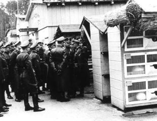 Germany charges ex-Nazi camp guards over hundreds of deaths