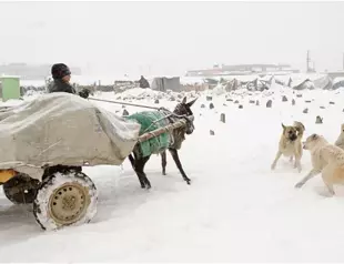 At least 13 killed in Afghanistan avalanches