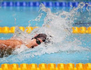 Dressel, Ledecky scoop top USA Swimming awards